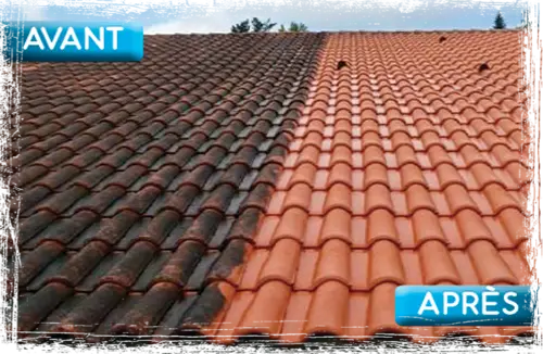 Nettoyage de toiture Barbezieux Charente